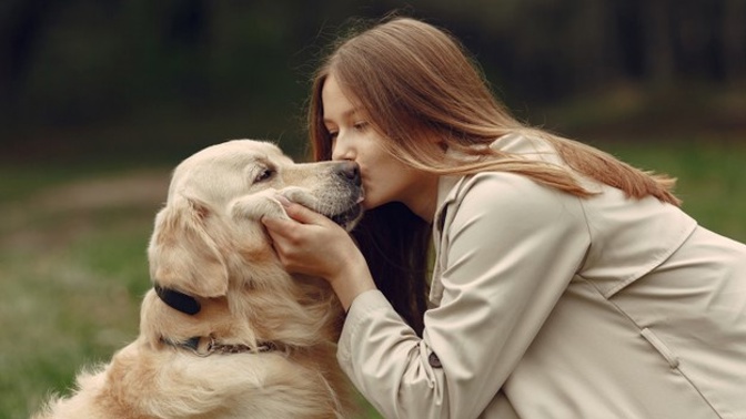 Cukroví pro psy a kočky: Snadné recepty, které vytvoříte ze tří surovin