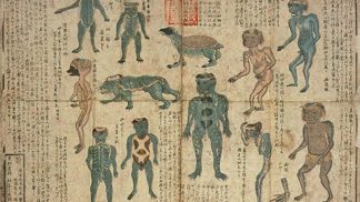 Mýtický japonský vodník Kappa: Kříženec opice a želvy požírá lidi i dobytek