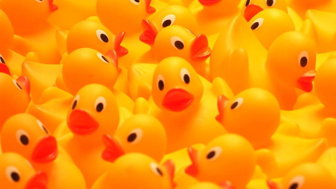 Bezmála třicet tisíc gumových hraček se dostalo do oceánu