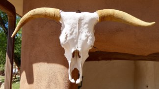 Zrůdná rituální vražda Marka Kilroye: Satanisté mu vyřízli páteř a jeho mozek vařili v želví polévce