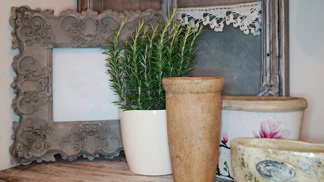 Pěstování bylinek za oknem: Tyhle druhy vám na parapetu vyčarují krásu i skvěle poslouží