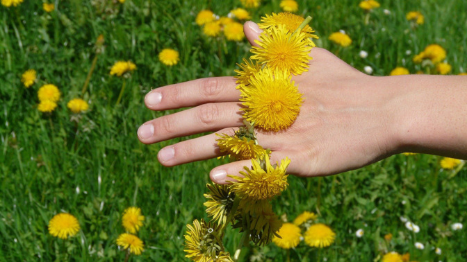 Jarní očista jater: Nemusíte hned do lékárny, pomůže vám těchto 9 bylinek