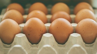 Skladujete vejce v lednici správně? Farmář radí revoluční trik, stačí je postavit špičkou správným směrem