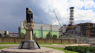 Příroda v Černobylu: Žížaly se po výbuchu zavrtaly metr pod zem, včely zůstaly raději v úlu