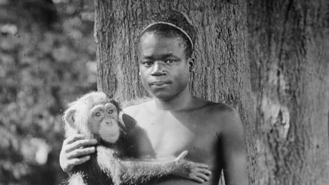 Ota Benga se svým "přítelem" v zoologické zahradě v Bronxu. Její ředitel dostal šílený nápad zavřít Otu do klece s opicemi