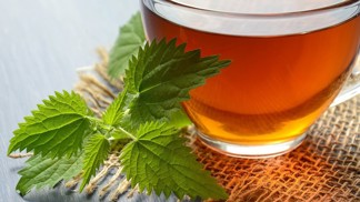 Kopřivy, zázrak přírodní lékárny: Nejlépe je využijete čerstvé. Šťáva z nich je výborná