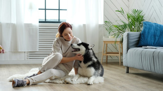 Pořizujete si do bytu psa? Tohle byste rozhodně neměli podcenit