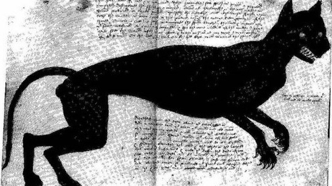 Agnes Bowker tvrdila, že porodila kočku. Ve skutečnosti však chtěla zatajit nemanželské dítě.