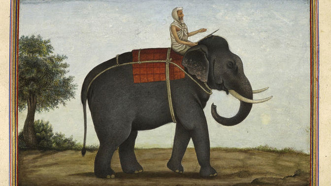 Slavná cirkusová slonice Mary: Umírala v nepředstavitelných bolestech, ze způsobu její smrti tuhne krev v žilách