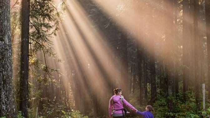 Užitečné tipy, jak si vychutnat rodinný výlet do přírody