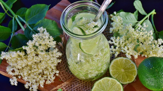 Bez černý právě kvete: Je z něj báječná limonáda, ale může se také smažit
