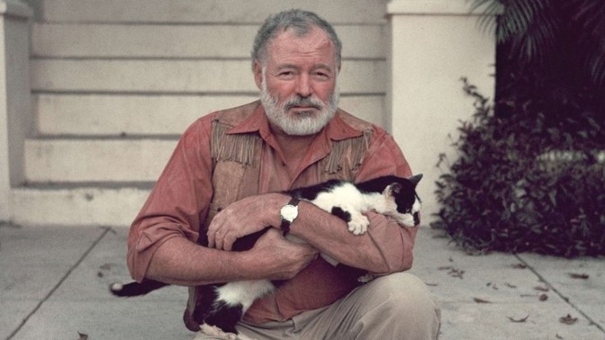 TOP 3 místa, kde lidé slouží kočkám: Jedno z nich nabízí neobvyklou památku na Ernesta Hemingwaye