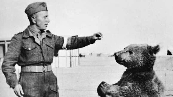 Medvědí desátník Wojtek: Mazel, který miloval zápasy, tulení a pivo