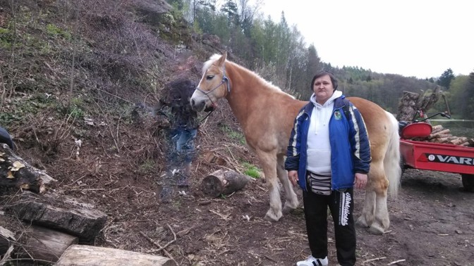 V mladoboleslavském Fokusu pomáhají i lidé s vlastní zkušeností s duševní nemocí. Mají důvěru pacientů