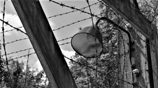 Zrůdný nacistický experiment: Jak vypadalo mučení mořskou vodou v koncentračním táboře Dachau?