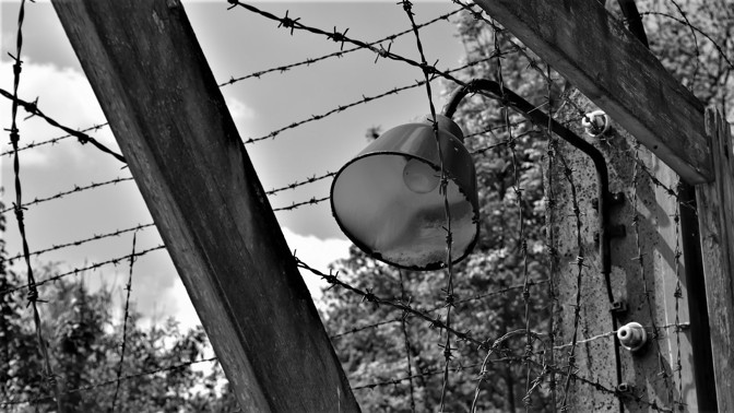 Zrůdný nacistický experiment: Jak vypadalo mučení mořskou vodou v koncentračním táboře Dachau?