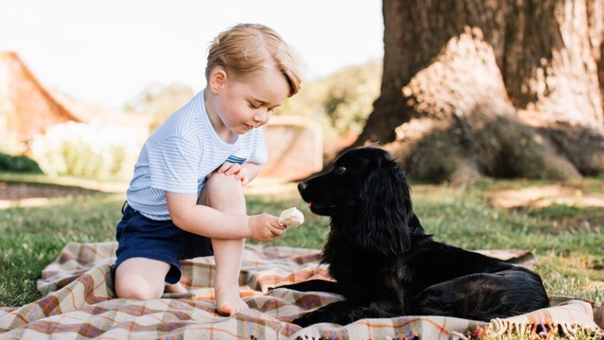 Mezinárodní den psů: V britské královské rodině mají hafani čestné místo. Figurují na portrétech a jezdí na líbánky