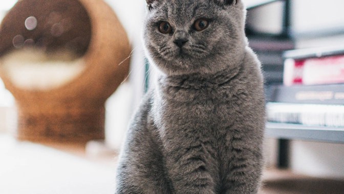 Nejen astmatici a alergici – čistý vzduch si zaslouží každý