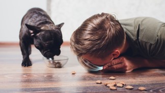 7 nejhorších zaměstnání na světě: Ochutnávač krmiv pro zvířata i uklízeč lidských ostatků