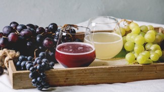 Jak poznat dobrý burčák: Důležitá je chuť i barva. A proč se s ním neťuká?