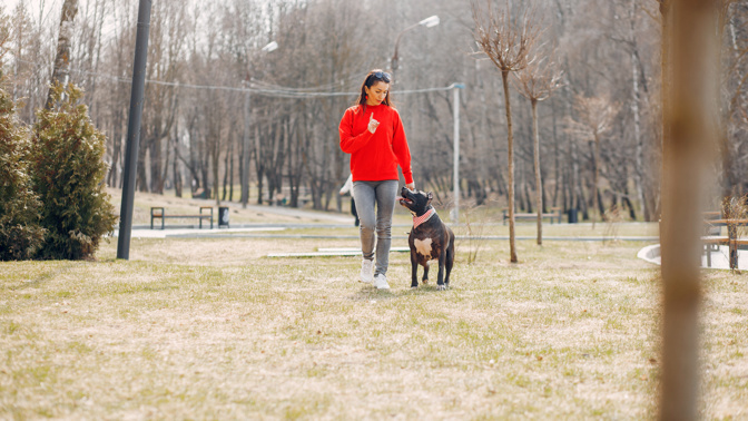Sára (27): Svěřila jsem matce na čtrnáct dní svého psa. Po návratu jsem se nestačila divit, co z něj udělala