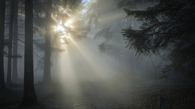 Upír z Cape Cod: Tony Costa ukrýval kusy těl na lesní zahrádce s marihuanou