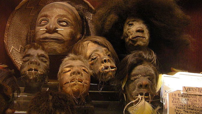 Fenomén scvrklých hlav: Kdysi odstrašovaly Evropany, dnes jsou hitem na černém trhu