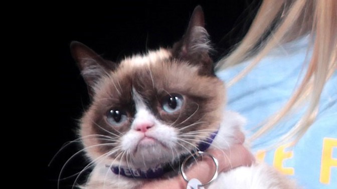 4 nejzábavnější profese na světě: Útěkář z vězení i manažer slavných koček