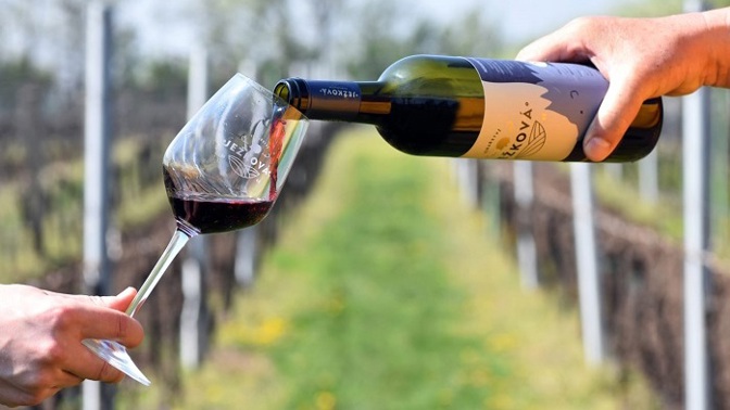 Vinice jí zničilo tornádo, půl roku poté budou její vína k dostání v Žabce