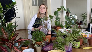 Štěpánka Fingerhutová a Nikol Kouklová propadly vzácným pokojovkám, jedna vyjde i na tisíce