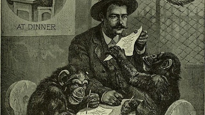 Příliš chlupatá dcera: Šimpanzí samičku vychovávali jako lidskou holčičku