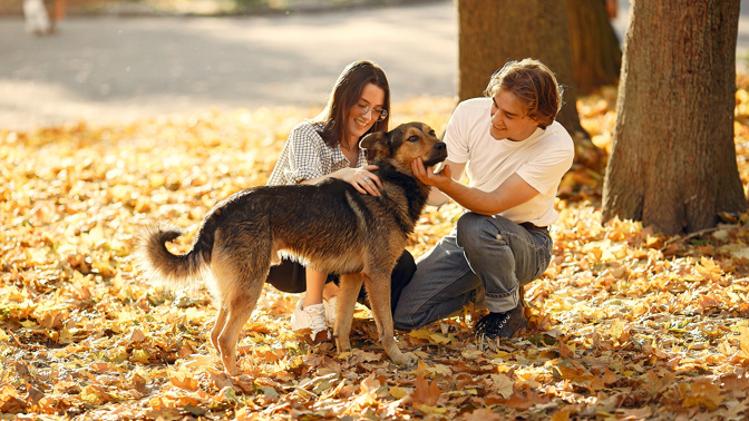 Eva (29): Vzala jsem si z útulku psa, který se bál mužů. Nakonec mi pomohl najít lásku mého života