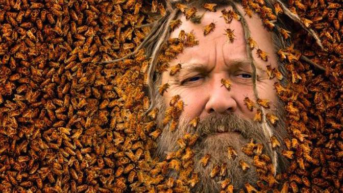 Nejsou jen na med. Tři zajímavosti ze života včelího společenstva