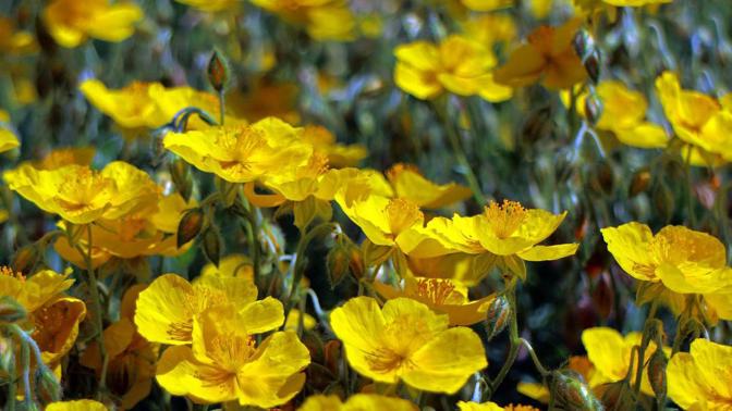 Tři, dva, jedna, jaro je tady! Přivítejte ho ve velkém stylu