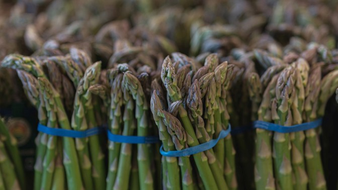 Sezona chřestu začala: Jeho příprava je snadná, zkuste i lehký recept s bramborami