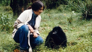 Záhadná smrt Dian Fossey: Vedla drsnou válku s pytláky, ve filmu Gorily v mlze ji hrála Sigourney Weaver