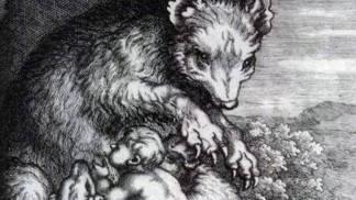 Podivný experiment na královském dvoře: Před 400 lety si Poláci nechali dítě, které měla vychovat medvědice