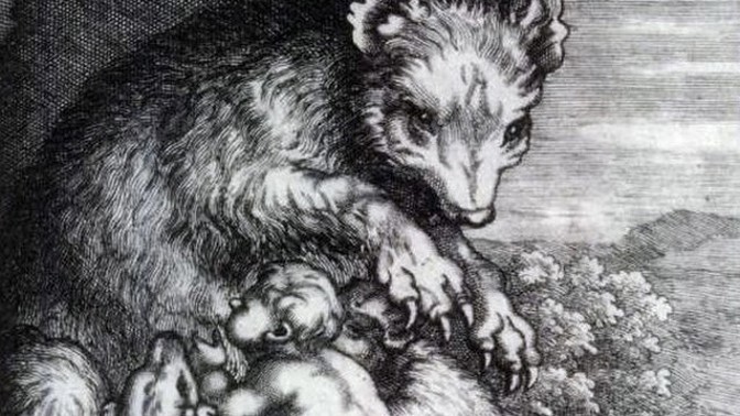 Podivný experiment na královském dvoře: Před 400 lety si Poláci nechali dítě, které měla vychovat medvědice