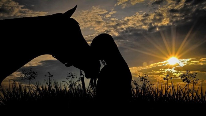 Zuzana (30): Duch koně se zlatavou hřívou mi připomenul největší ztrátu mého života