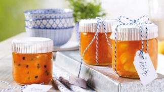 Želírovací cukr, Gelfix nebo Želírovací cukr se stévií. Který si vybrat?