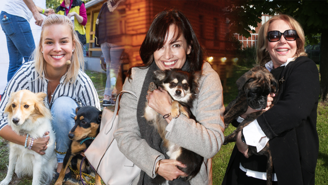 Mazlíčci slavných: Brodská spí s Konrádem v posteli, Langmajer má hvězdu Instagramu, Havlová vozí Grace tramvají