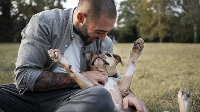 Pavel (33): Nemohu najít ženu, která by tolerovala moje psy. Už i ta poslední je vyhání z postele