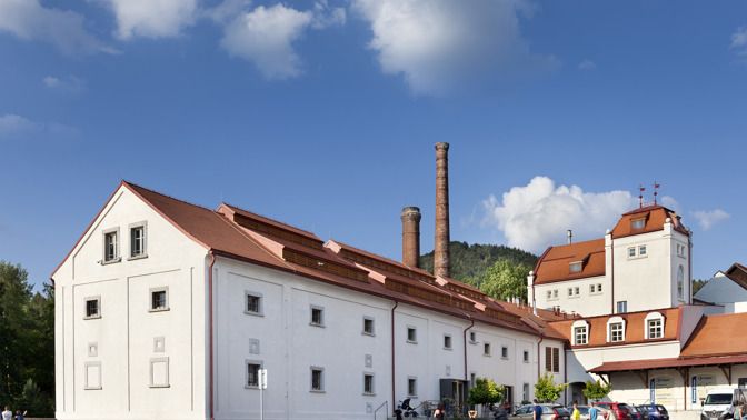 Žatecký chmel a voda z úpatí Lužických hor. Žabka navázala spolupráci s pivovarem Cvikov