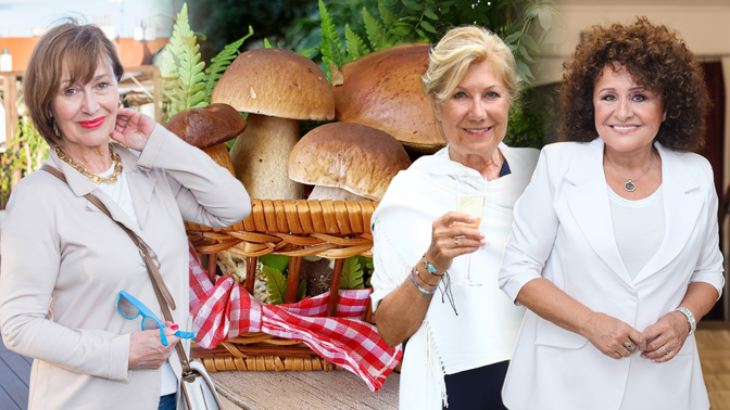 Houbaření českých hvězd: Petra Černocká do lesa posílá manžela, Jitka Zelenková si houby nechává servírovat