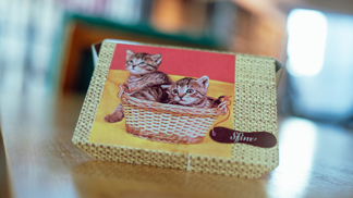 Mezinárodní den čokolády: Připomeňte si retro obaly nejznámějších československých sladkostí