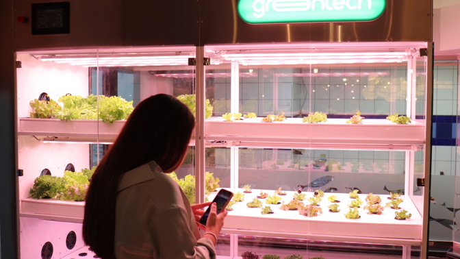 Blíží se den, kdy si čerstvou zeleninu vypěstuje každý supermarket