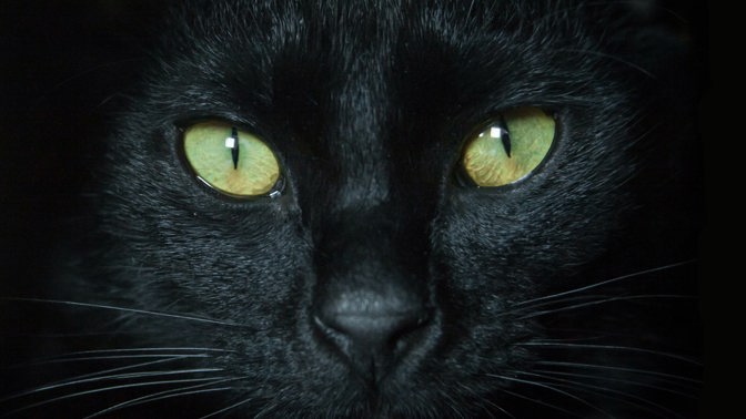 Nejznámější pověry: Pod žebříkem se nechodí, číslo 13 nosí smůlu