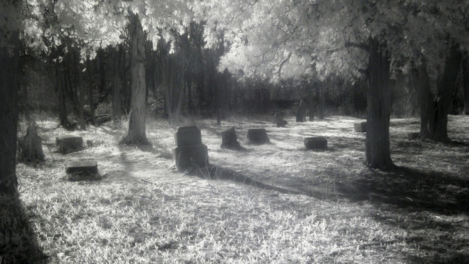 Nejděsivější hřbitov v Illinois: V Bachelor’s Grove má strašit žena senátora, která hledá svou mrtvou dceru