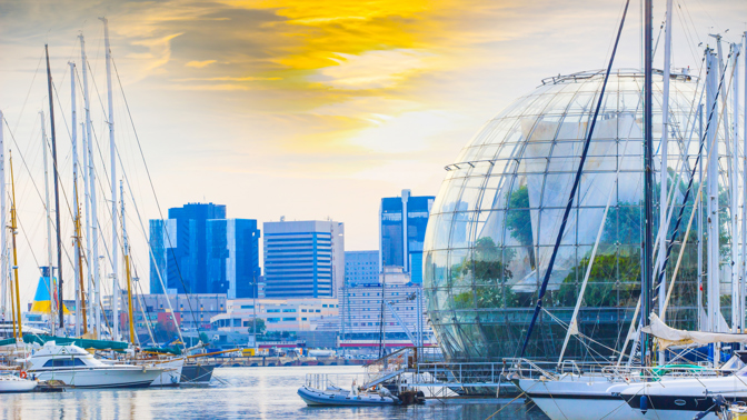 Vítejte v Janově, hlavním městě umění, vědy a kultury