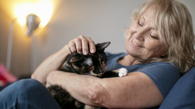 Žaneta (55): Osvojila jsem si zatoulanou kočku. Kromě toho, že mi dělá společnost, má i nečekané schopnosti